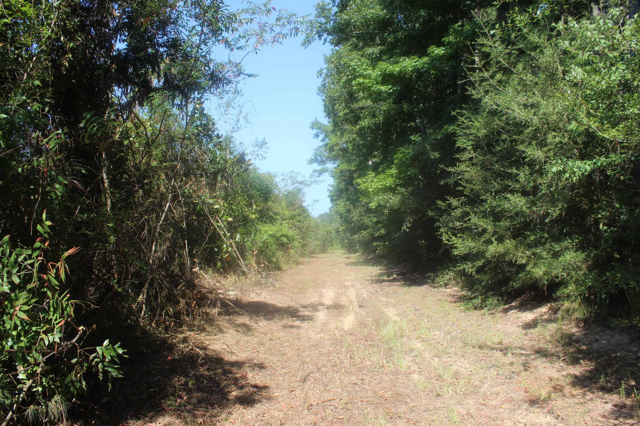 3960 East Lincoln Road SE Brookhaven, MS 39601