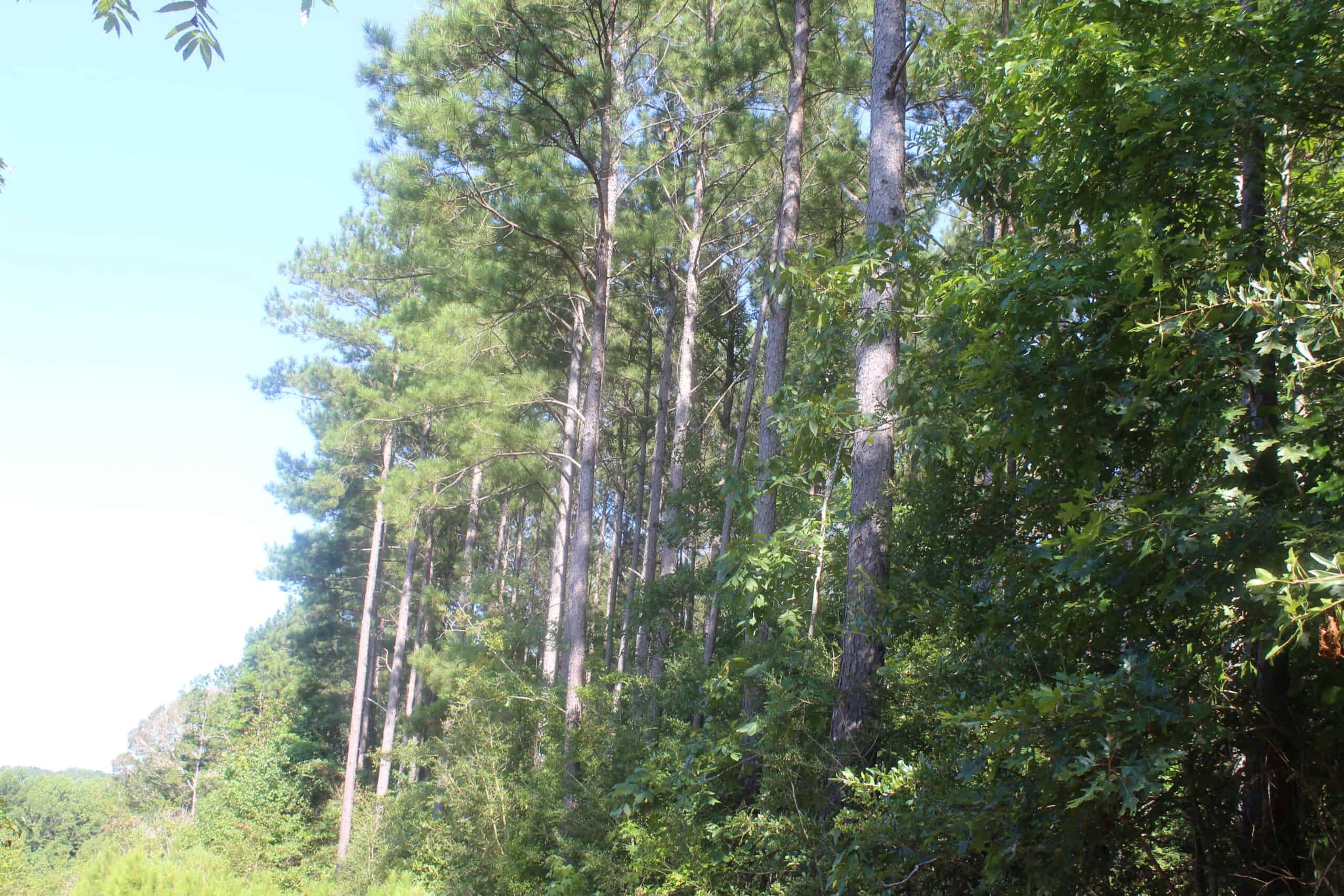 3960 East Lincoln Road SE Brookhaven, MS 39601