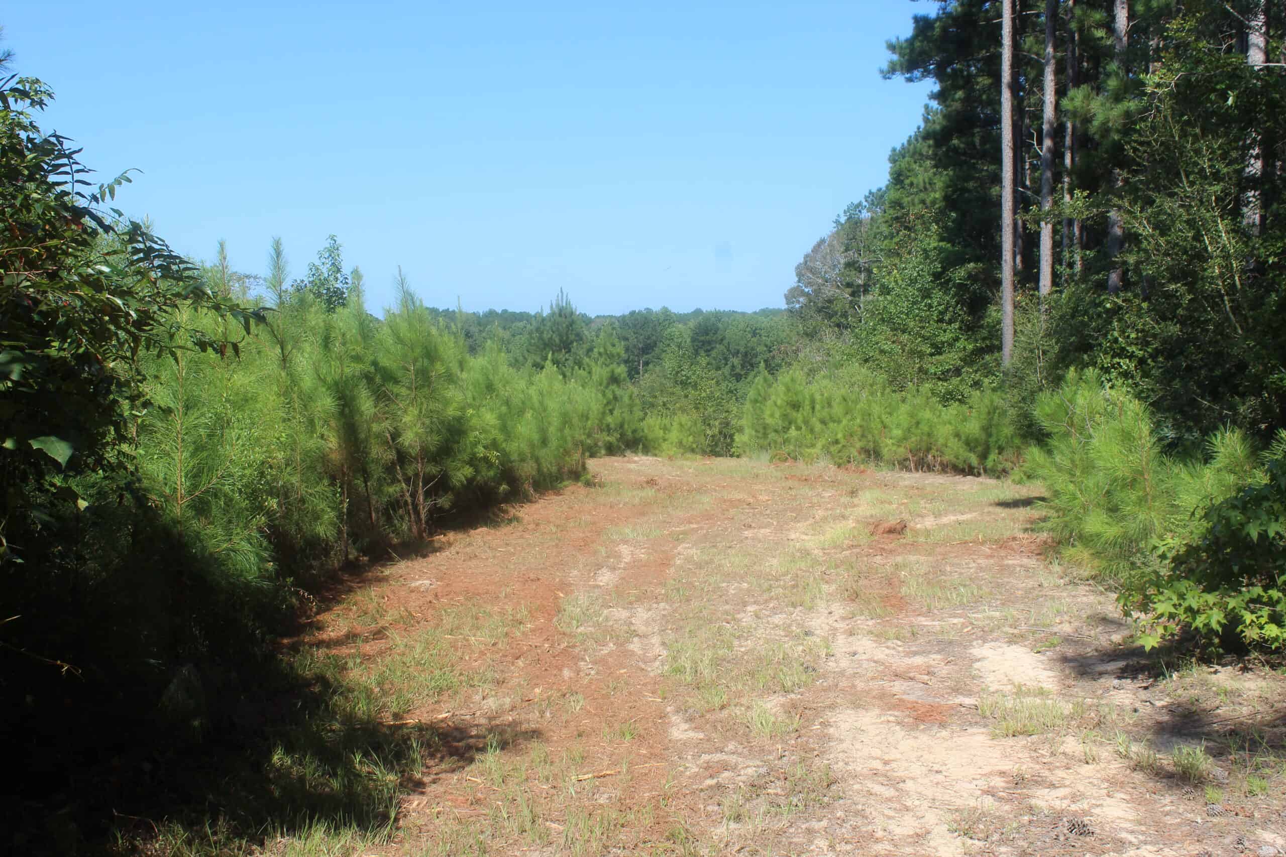 3960 East Lincoln Road SE Brookhaven, MS 39601