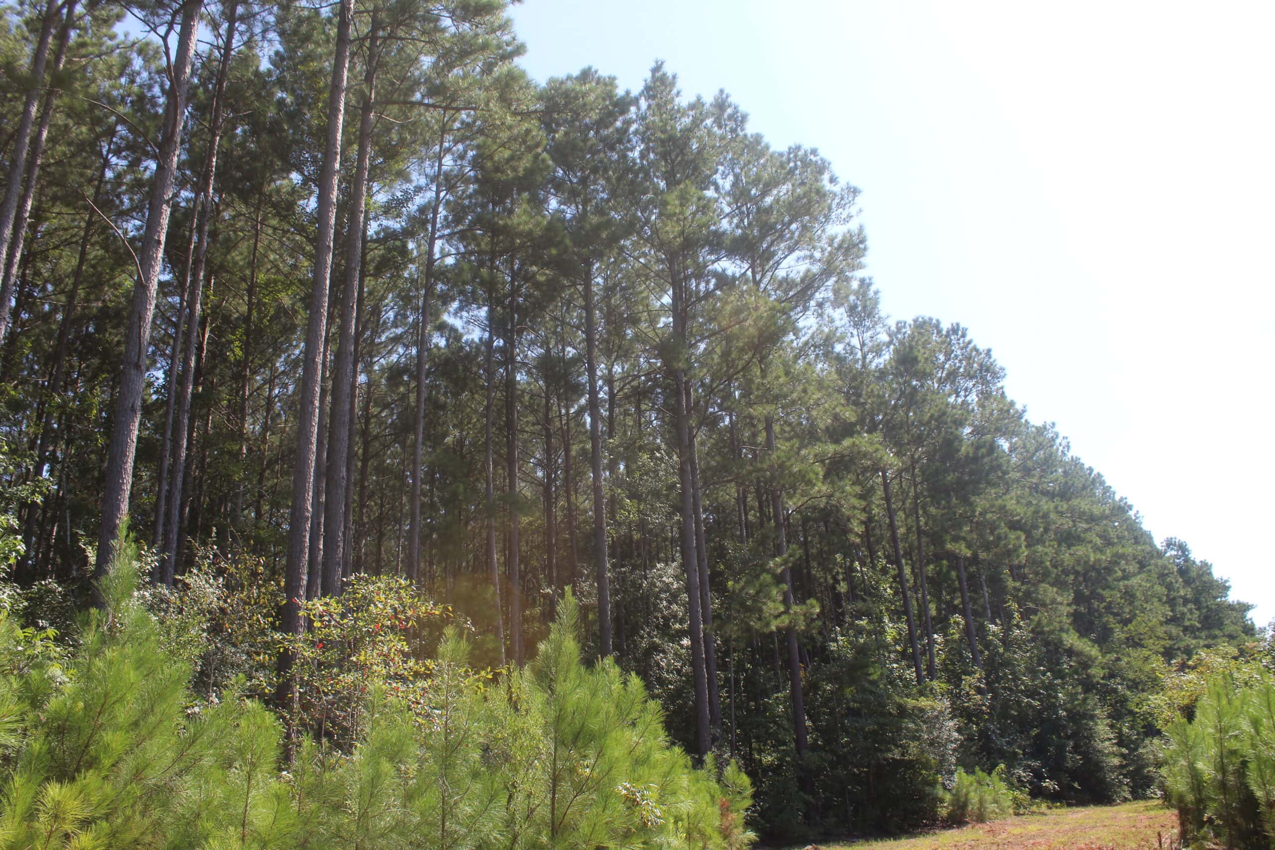 3960 East Lincoln Road SE Brookhaven, MS 39601