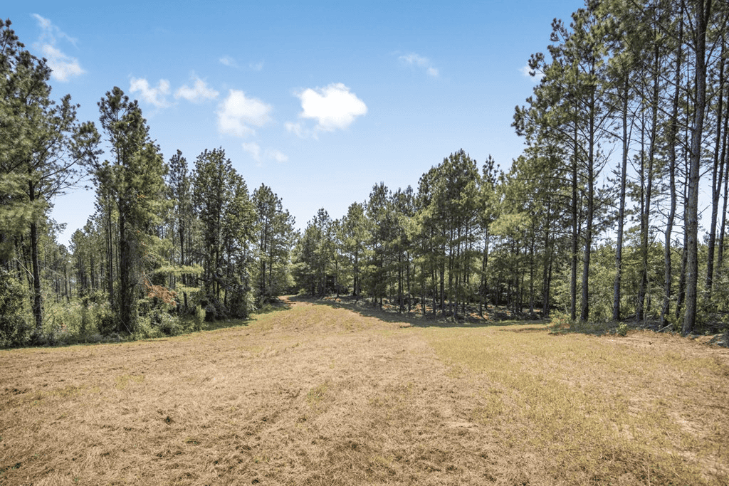 Turn Key Hunting Property in Amite County, MS
