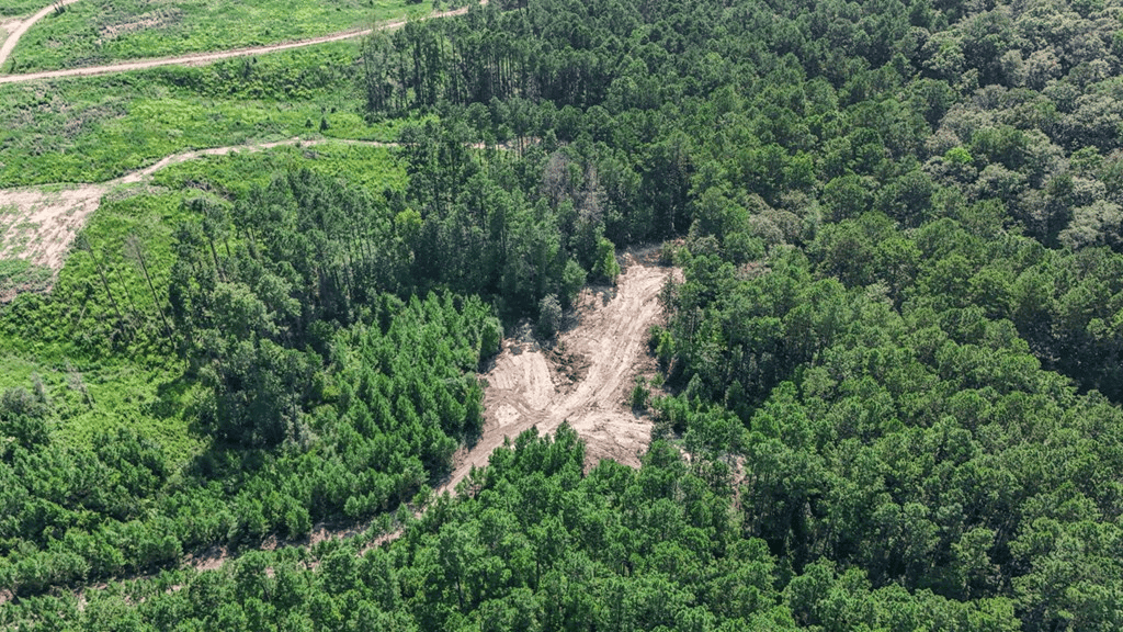 Small Hunting Property Near Caston Creek WMA