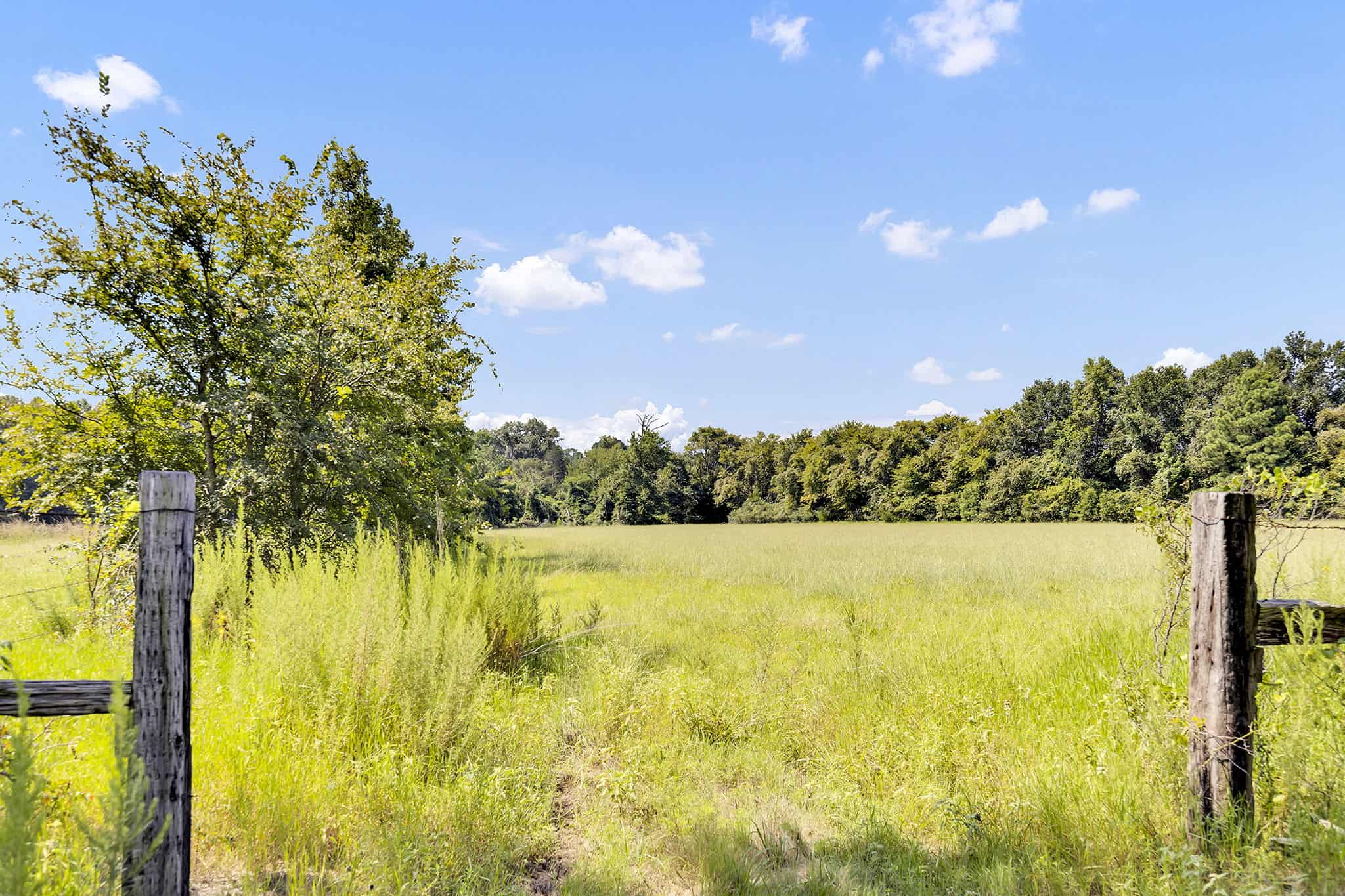 Henderson County Texas Legacy Farm For Sale Near Athens TX