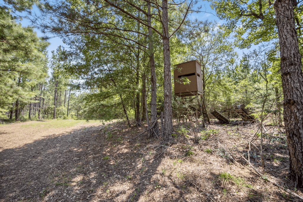 Turn Key Hunting Property in Amite County, MS