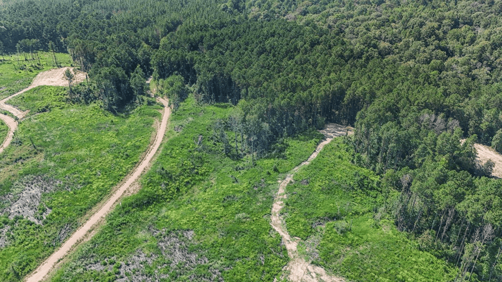 Small Hunting Property Near Caston Creek WMA