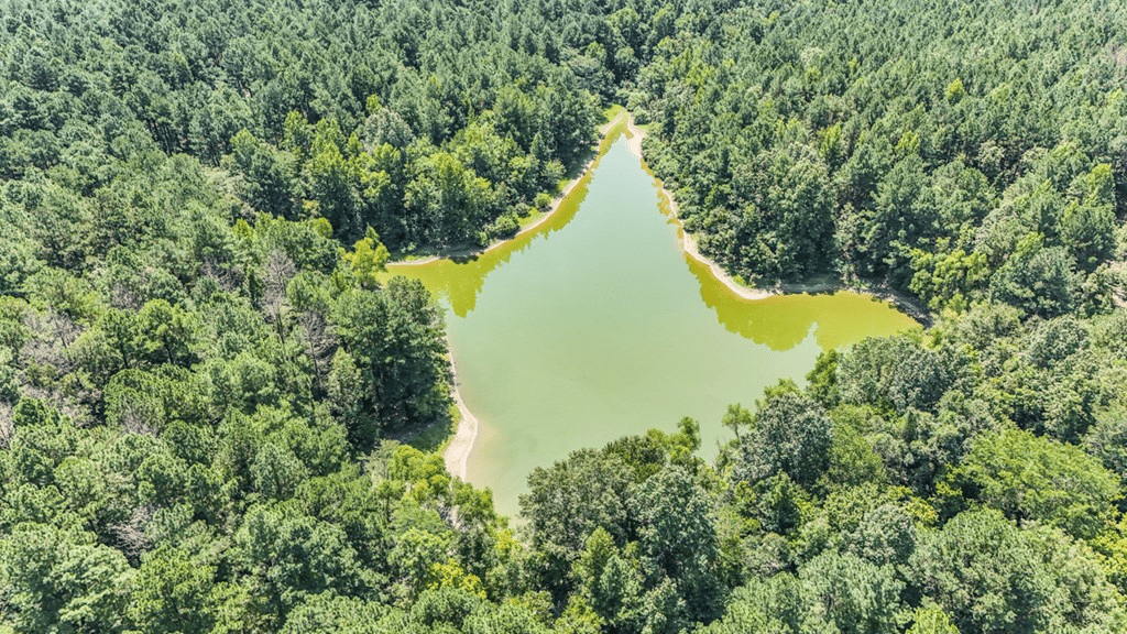Hunting and Timberland for Sale in Claiborne County, MS