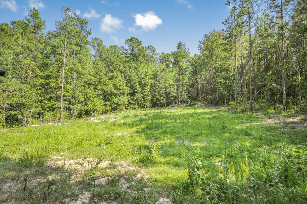 Wilkinson County Hunting Land Adjoining National Forest