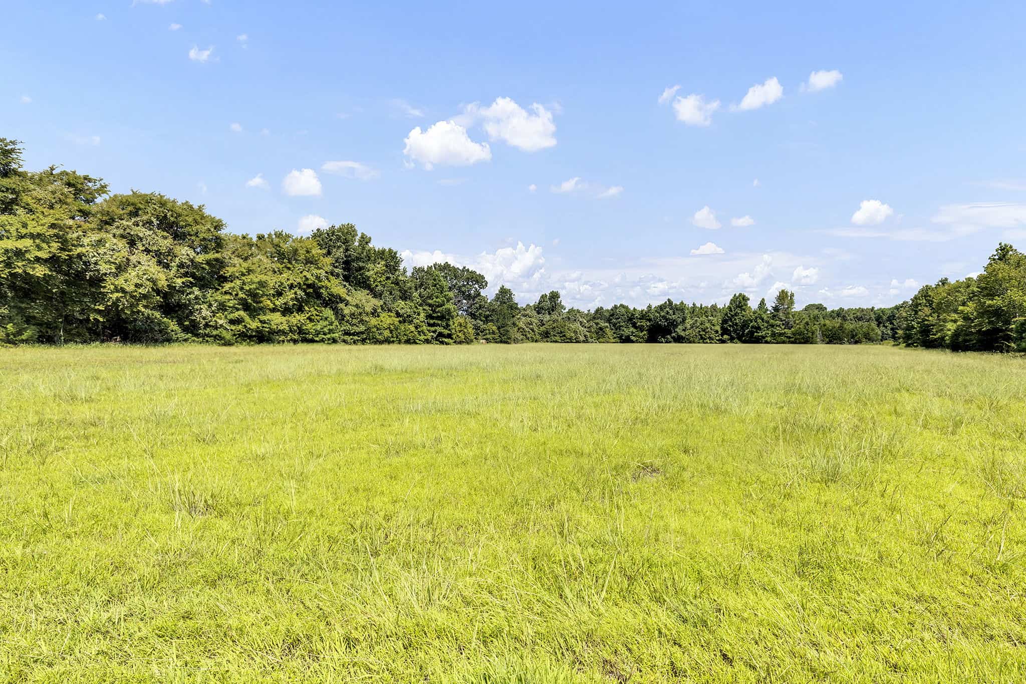 Henderson County Texas Legacy Farm For Sale Near Athens TX