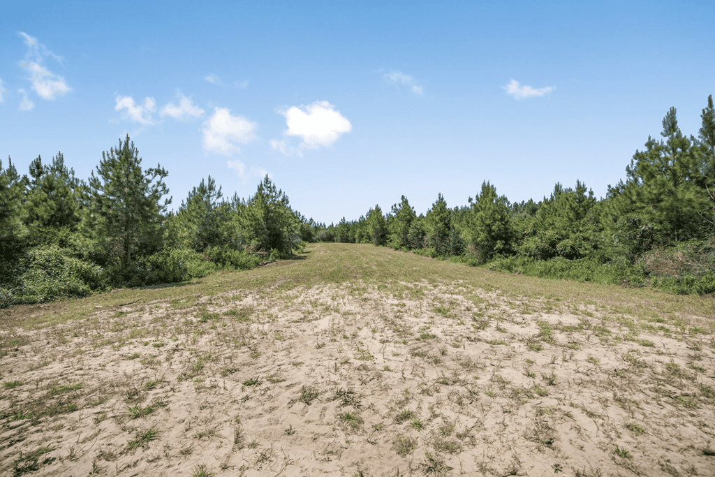 Turn Key Hunting Property in Amite County, MS