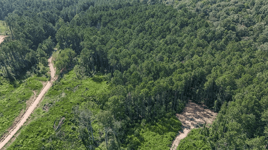 Small Hunting Property Near Caston Creek WMA