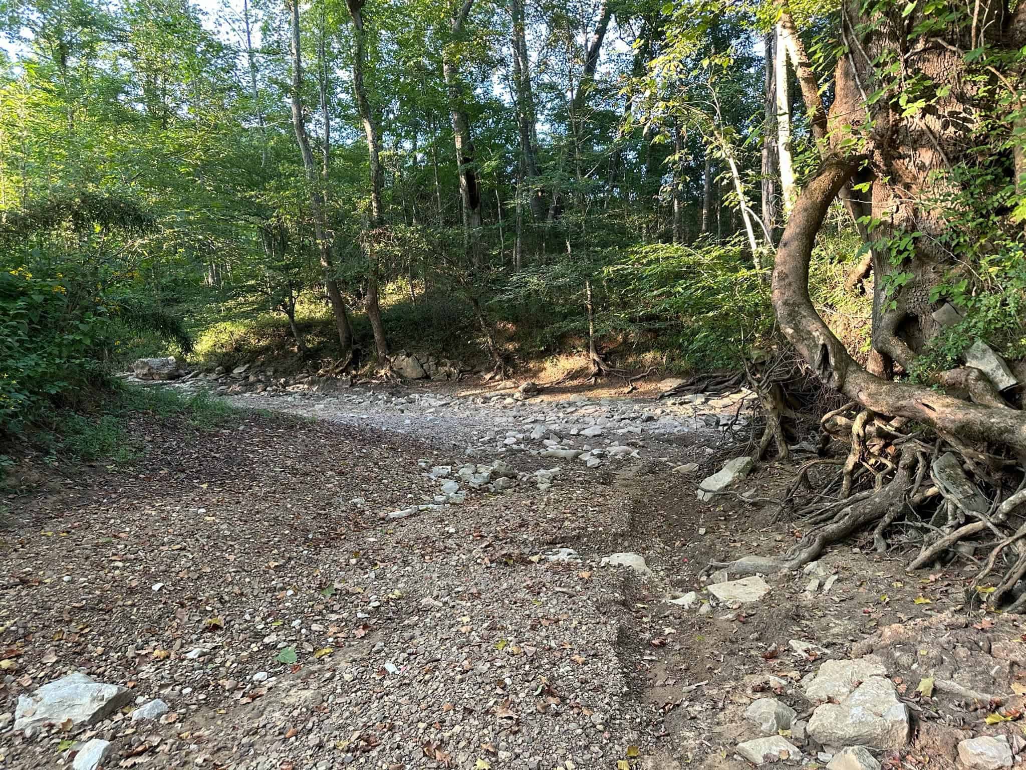 Acreage in Wayne County, Kentucky