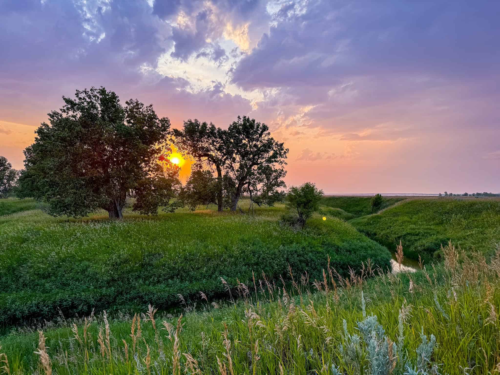 Milk River Treasure Ranch Dryland Farm Hay Production