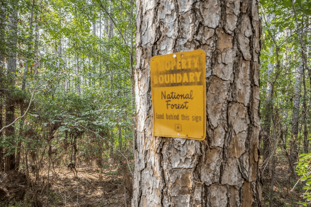 Wilkinson County Hunting Land Adjoining National Forest