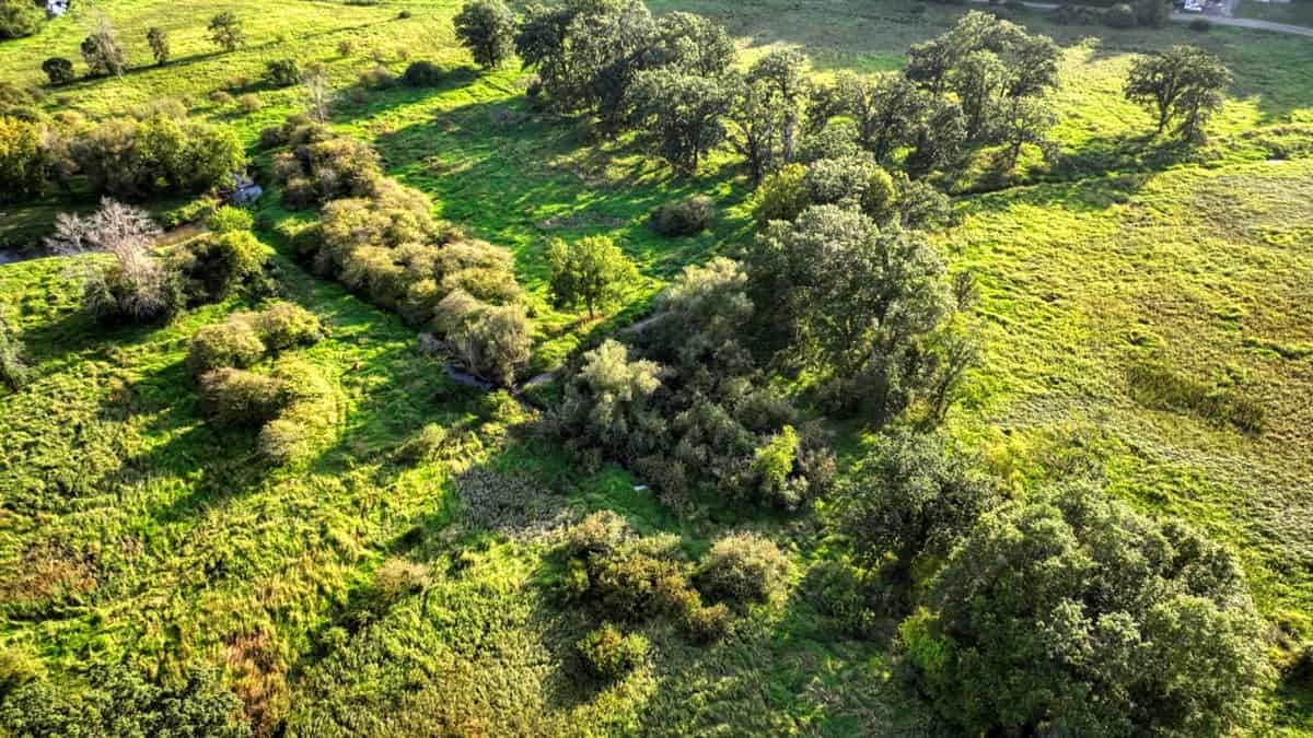 37+ Acres of Unlimited Potential – Elroy, WI