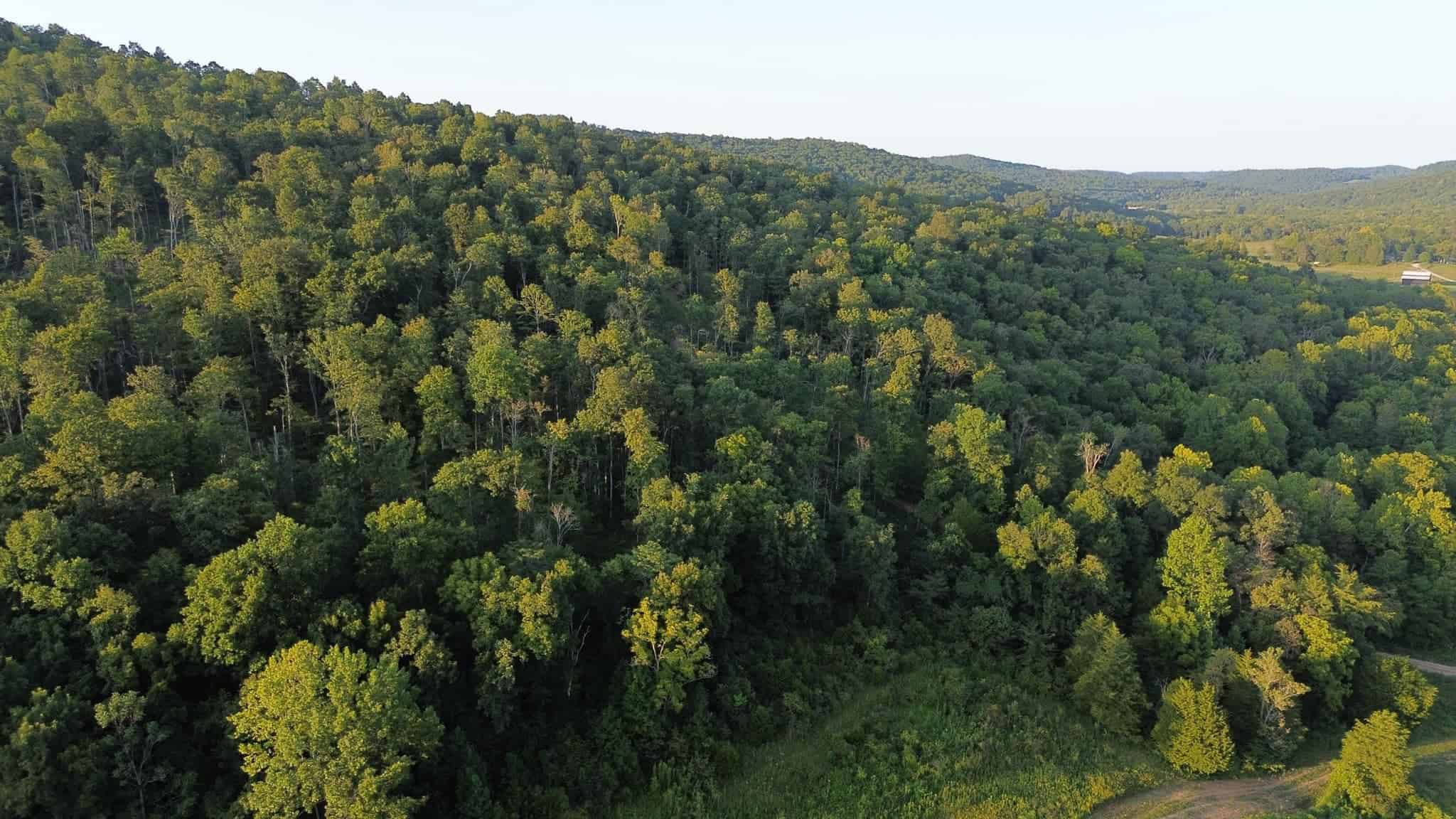Acreage in Wayne County, Kentucky
