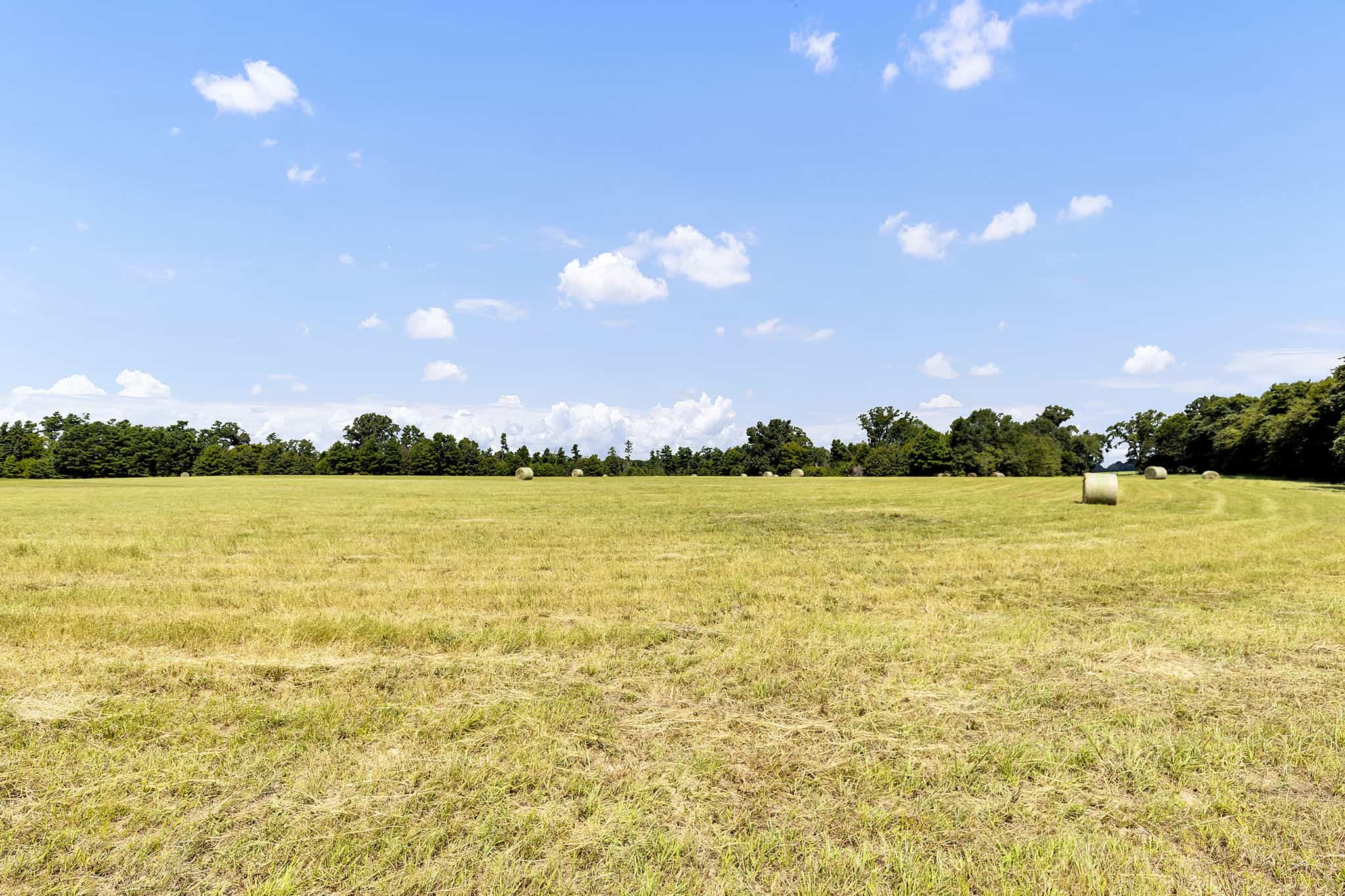 Henderson County Texas Legacy Farm For Sale Near Athens TX