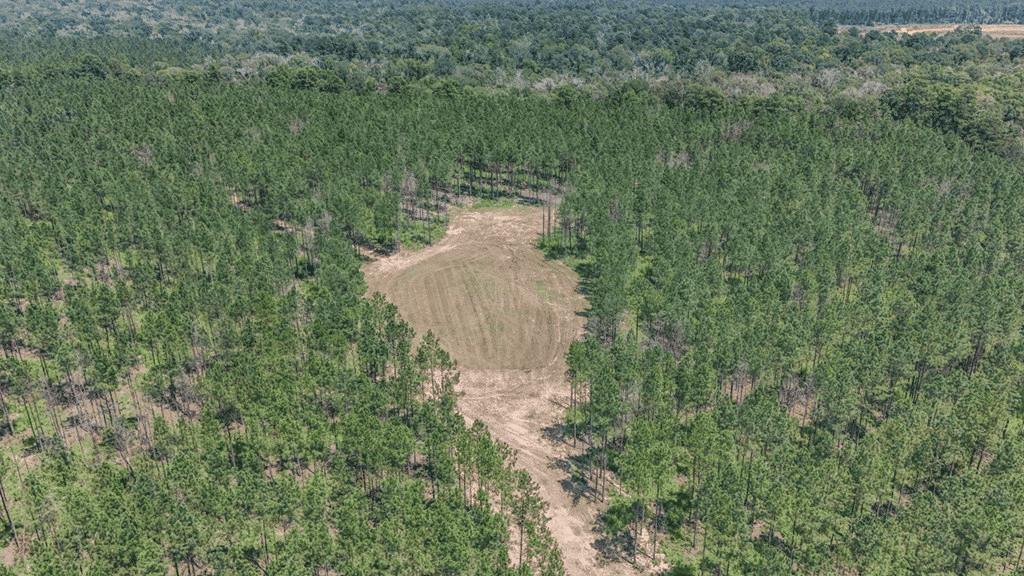 Turn Key Hunting Property in Amite County, MS