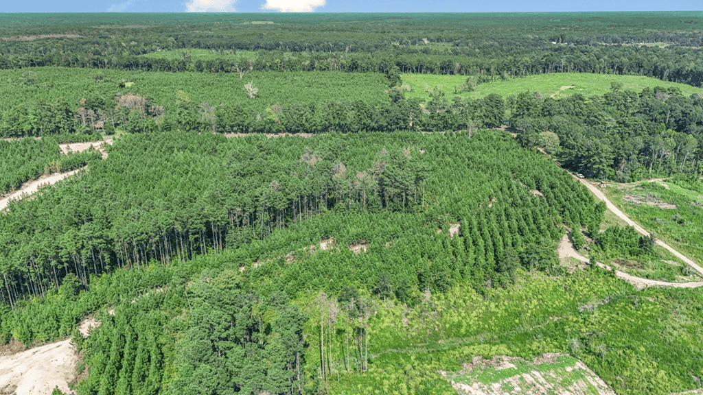 Small Hunting Property Near Caston Creek WMA