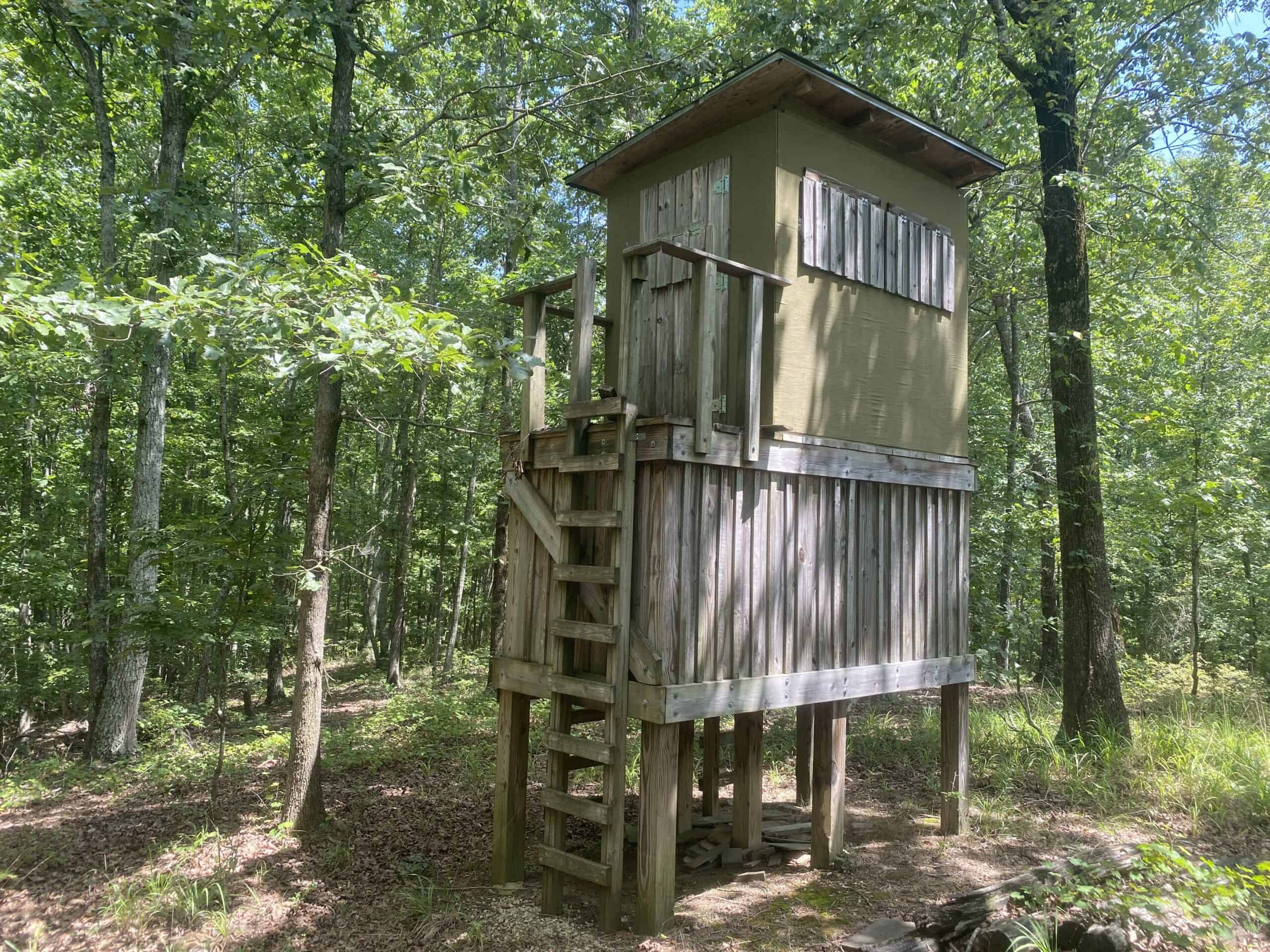 HUNTING PROPERTY FOR SALE IN TN WITH TIMBER AND BRANCH