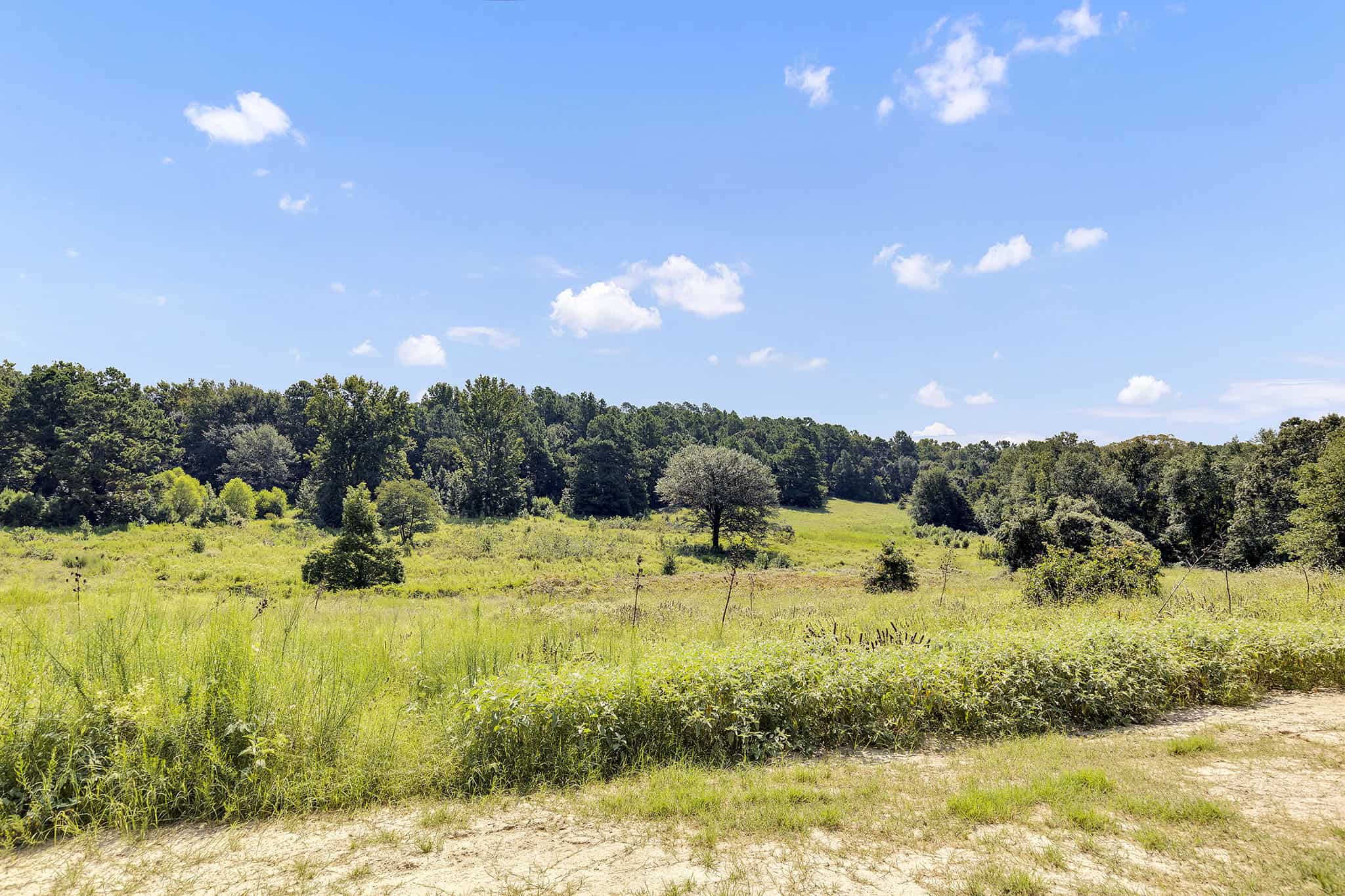 Henderson County Texas Legacy Farm For Sale Near Athens TX