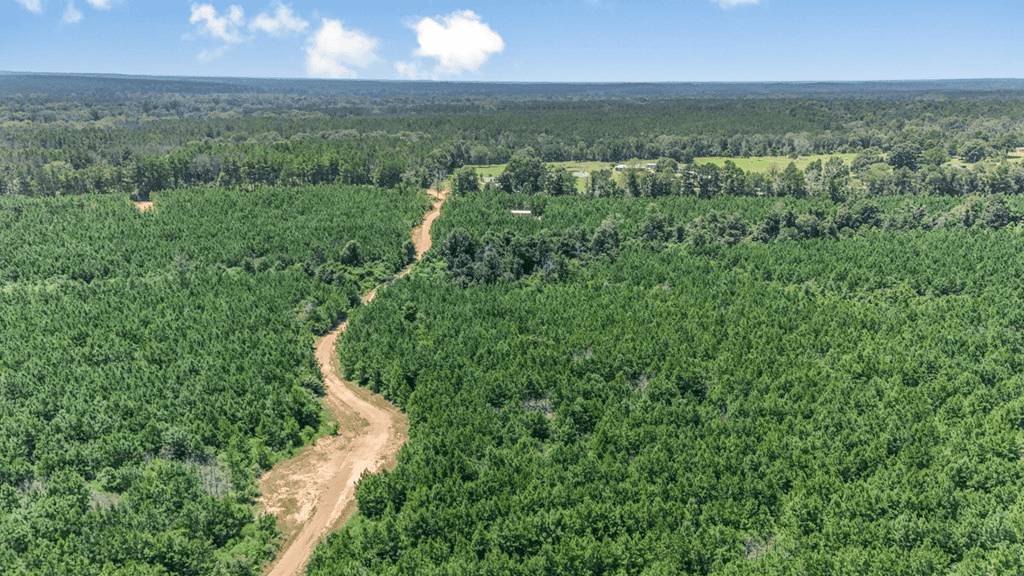 Turn Key Hunting Property in Amite County, MS