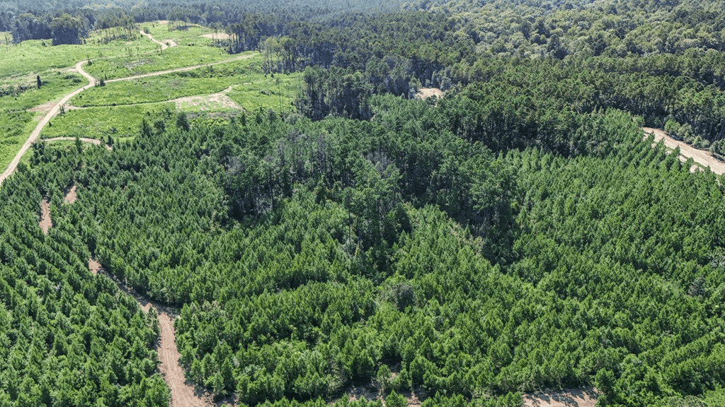 Small Hunting Property Near Caston Creek WMA