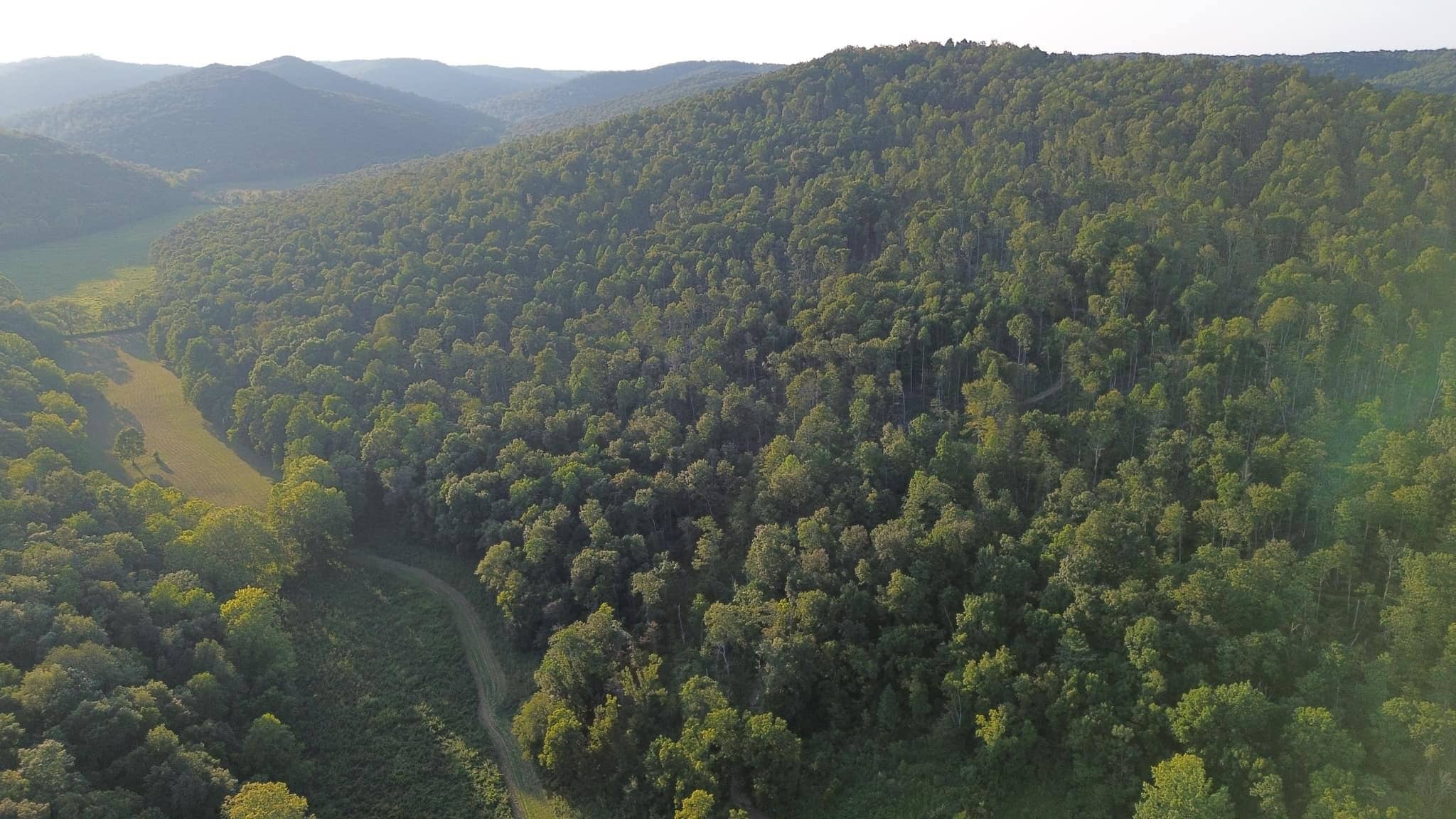 Acreage in Wayne County, Kentucky