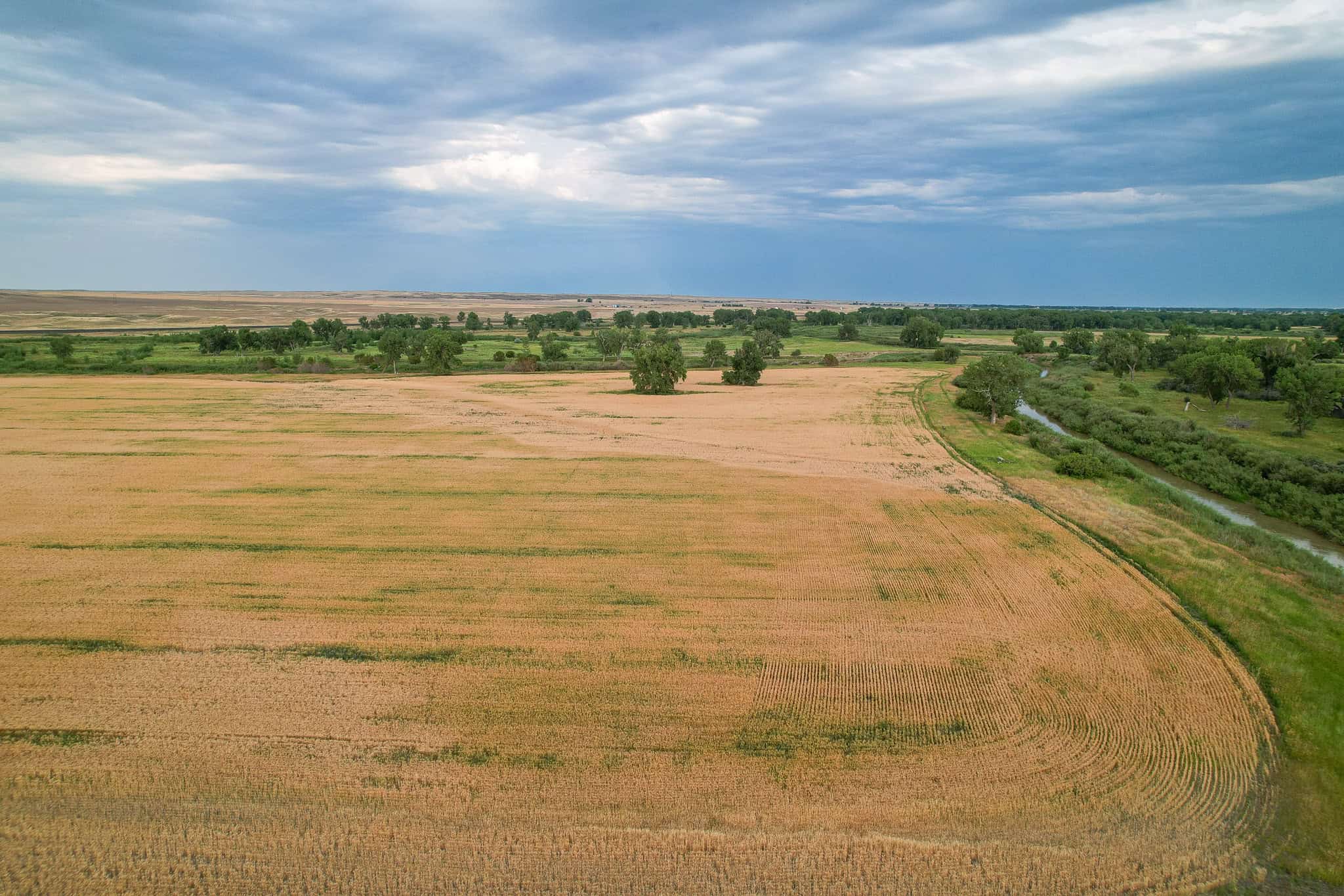 Milk River Treasure Ranch Dryland Farm Hay Production