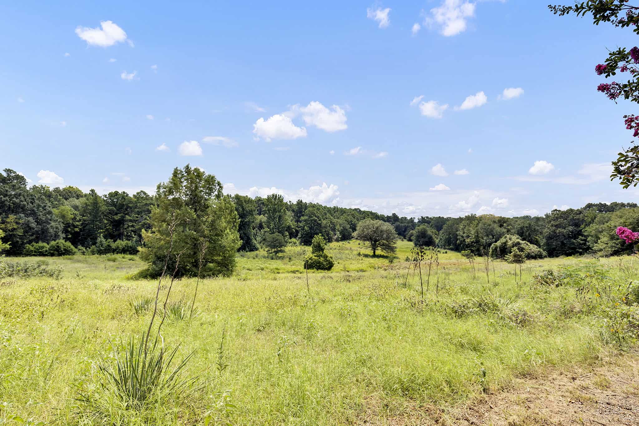 Henderson County Texas Legacy Farm For Sale Near Athens TX