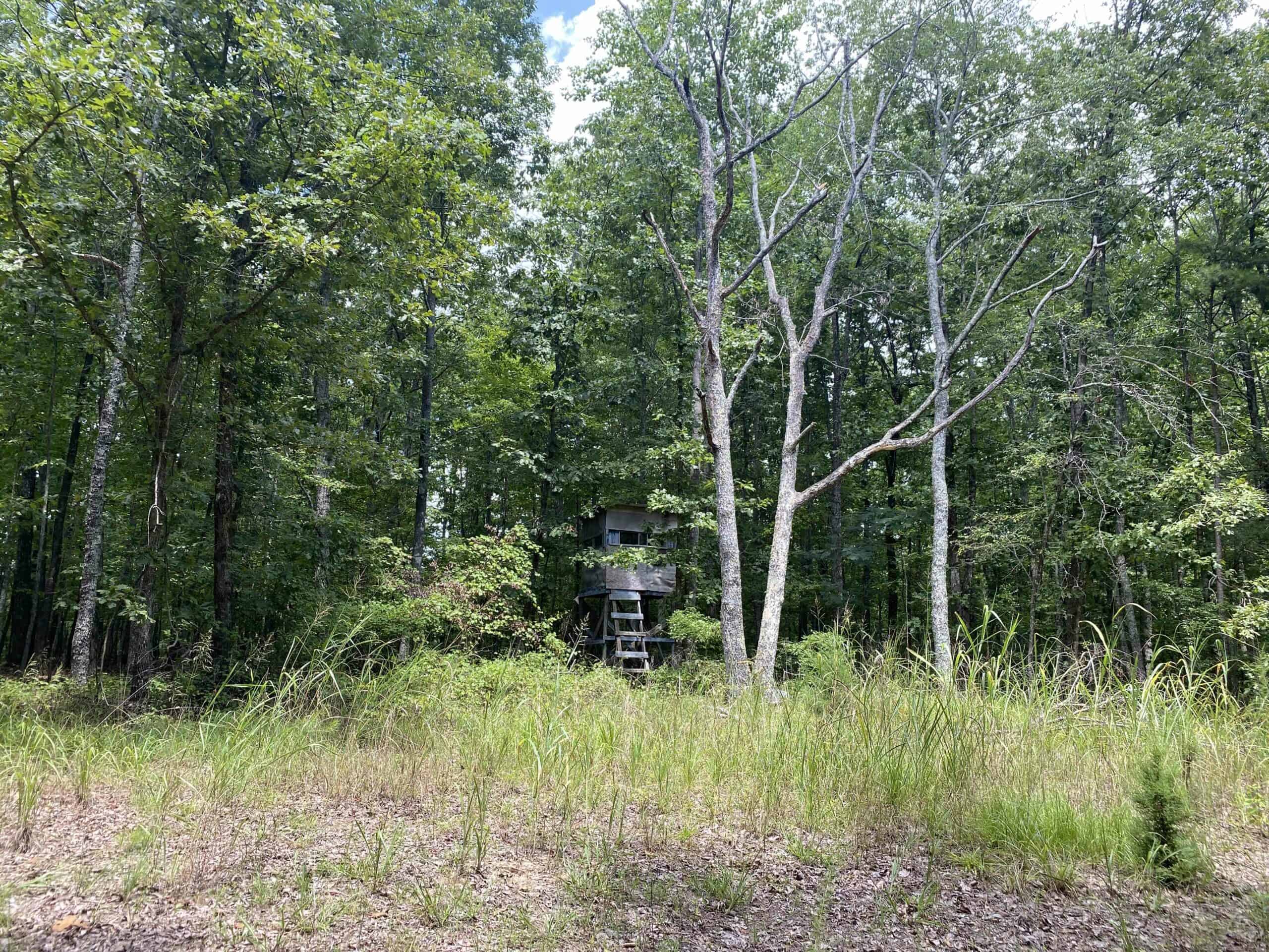 HUNTING PROPERTY FOR SALE IN TN WITH TIMBER AND BRANCH