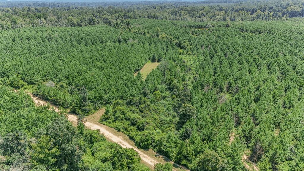 Turn Key Hunting Property in Amite County, MS