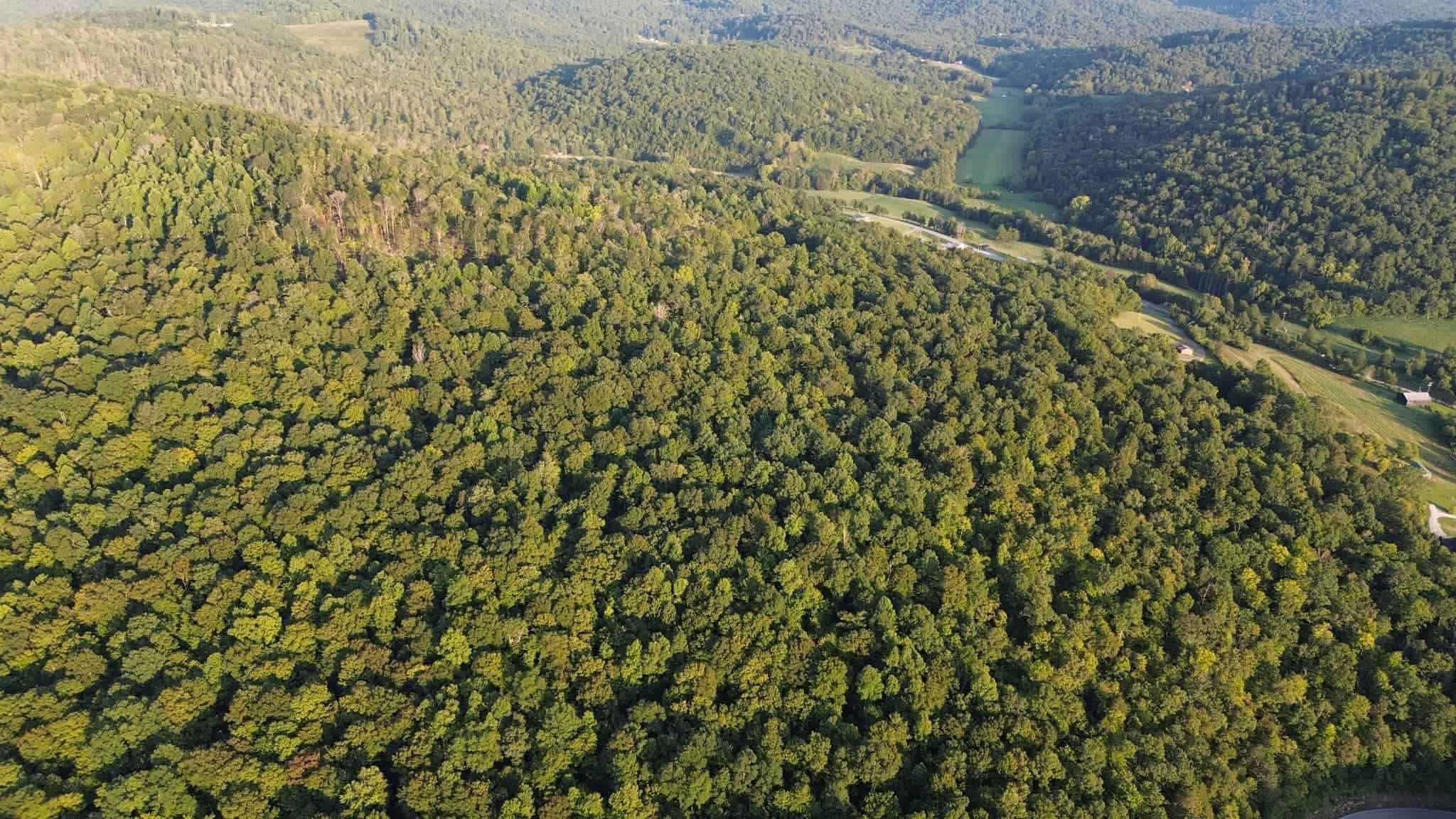 Acreage in Wayne County, Kentucky