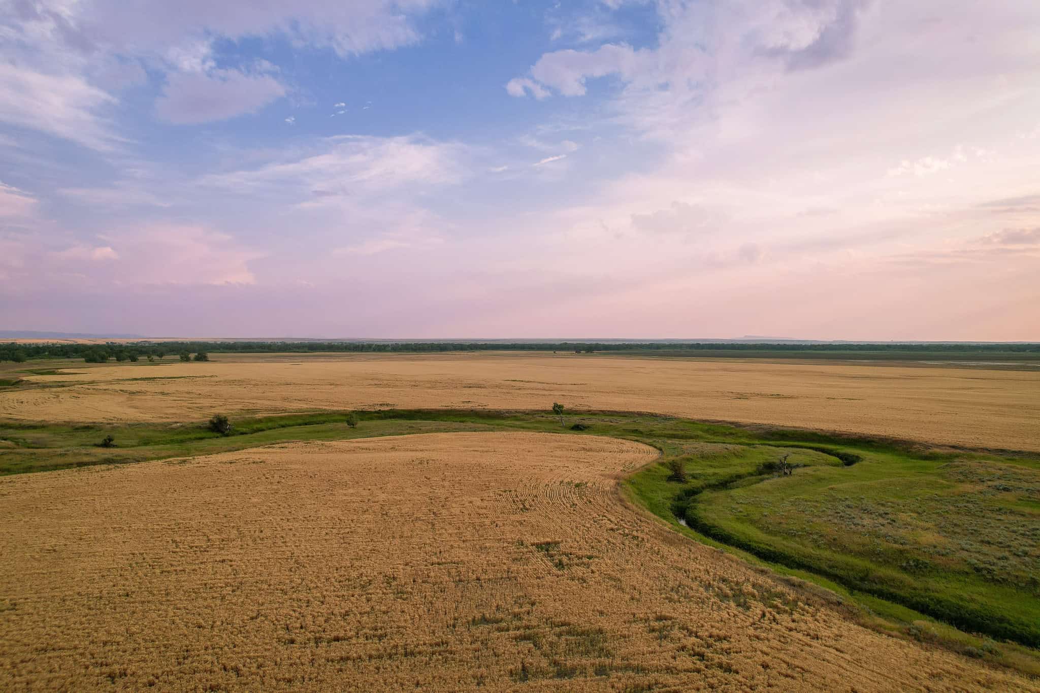 Milk River Treasure Ranch Dryland Farm Hay Production