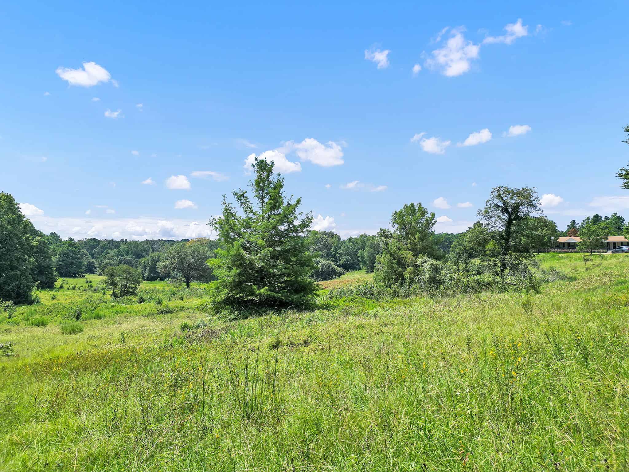 Henderson County Texas Legacy Farm For Sale Near Athens TX