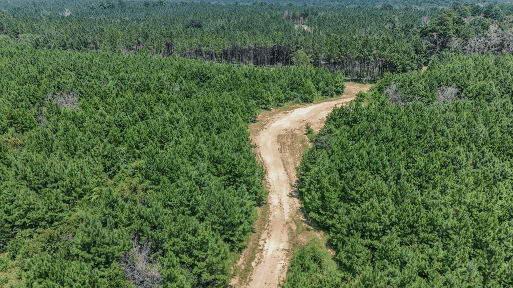 Turn Key Hunting Property in Amite County, MS