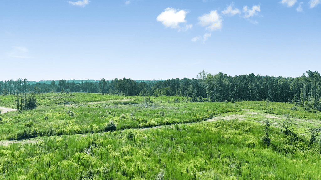 Small Hunting Property Near Caston Creek WMA