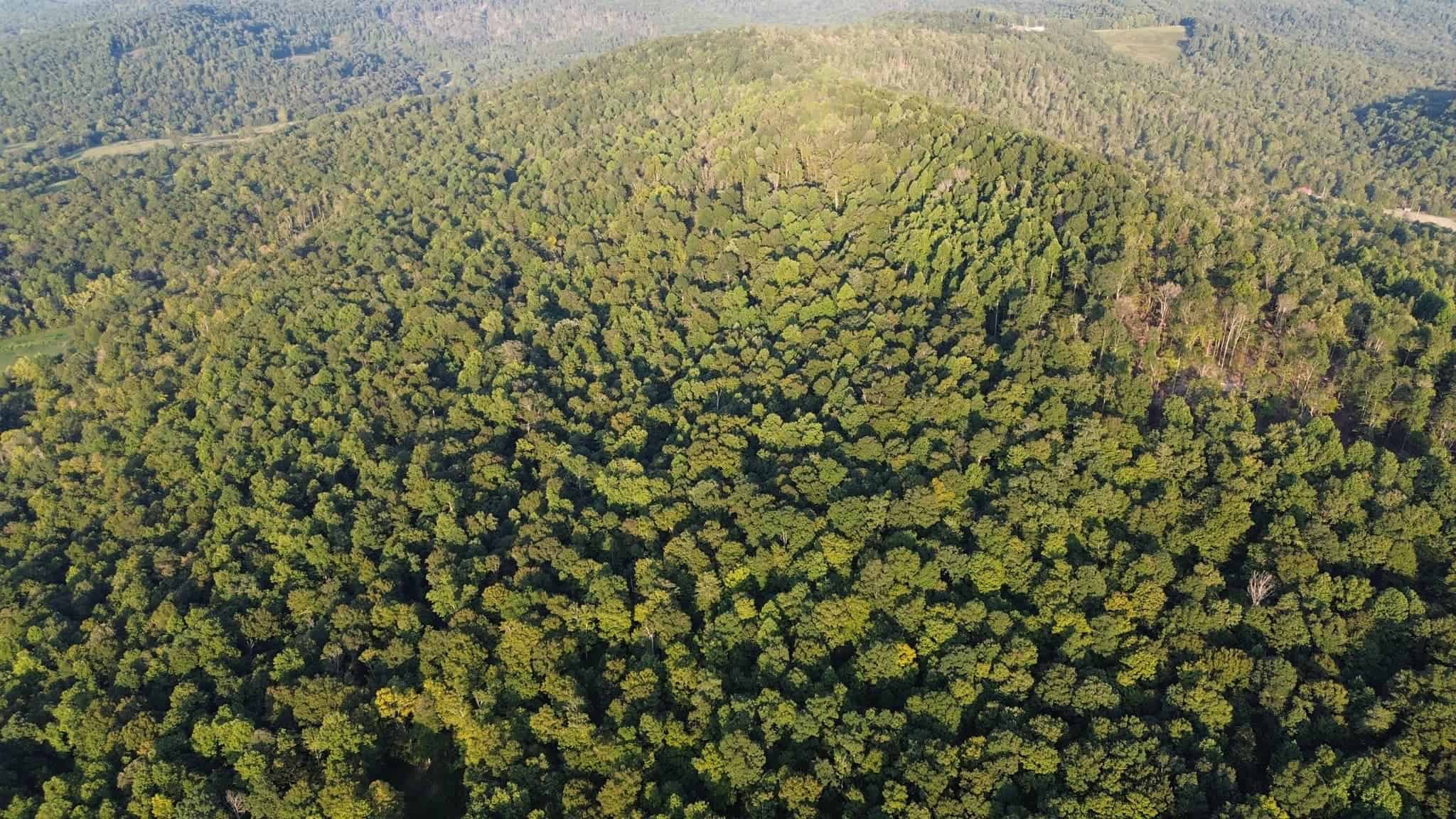 Acreage in Wayne County, Kentucky