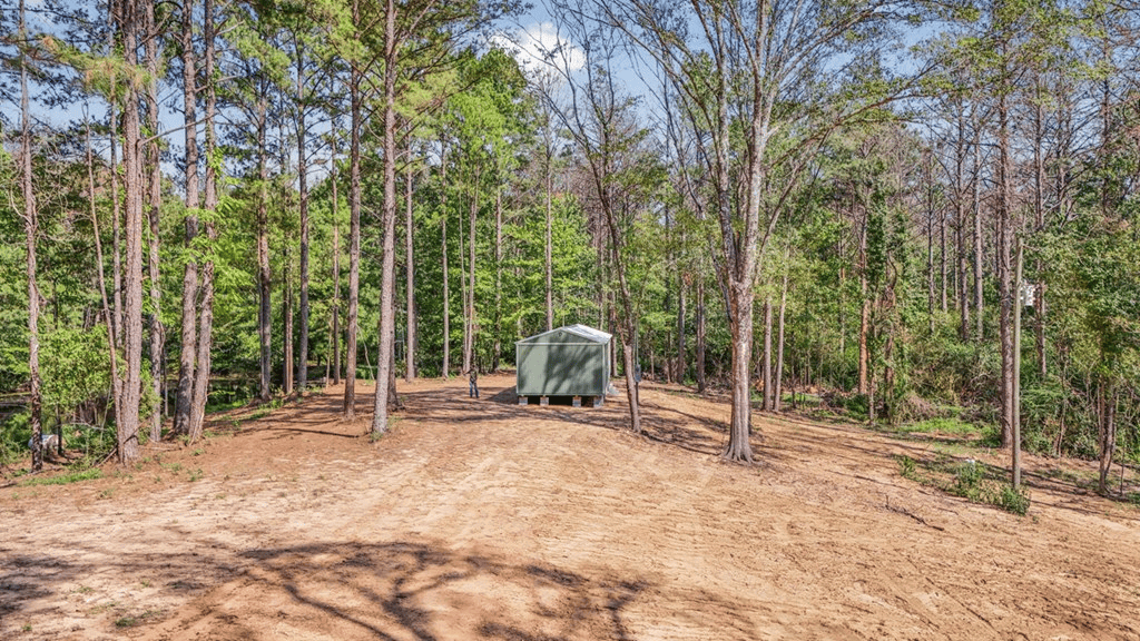 Wilkinson County Hunting Land Adjoining National Forest