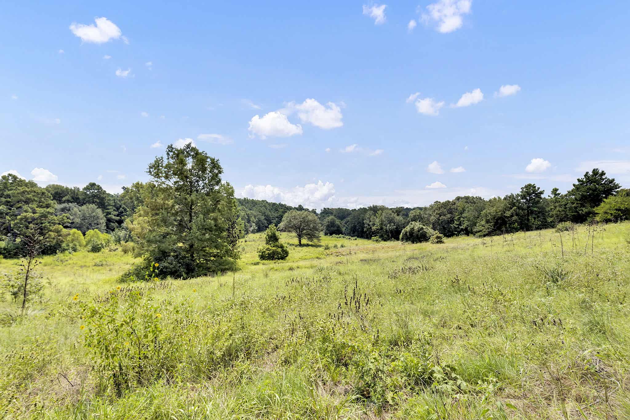 Henderson County Texas Legacy Farm For Sale Near Athens TX