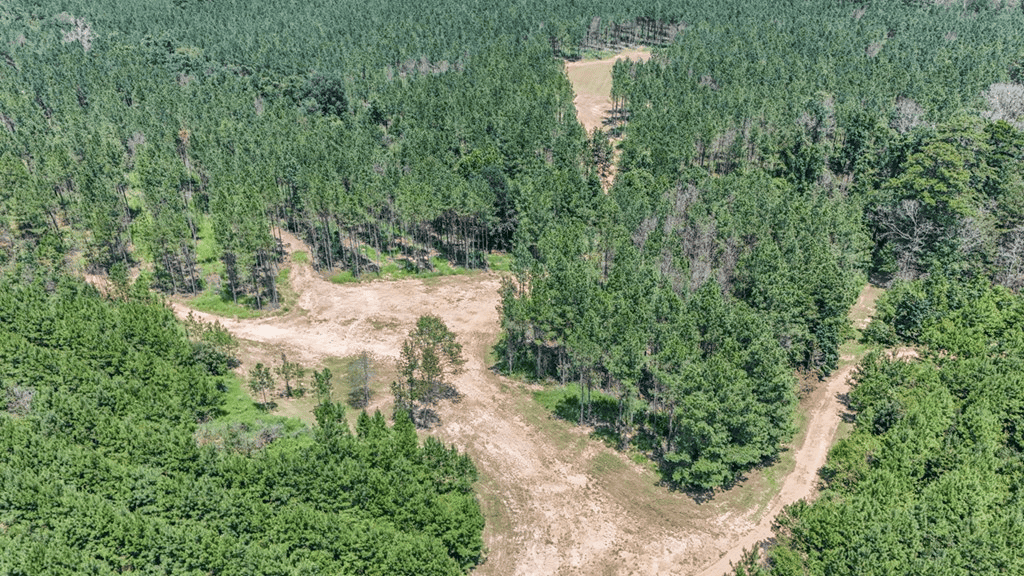 Turn Key Hunting Property in Amite County, MS