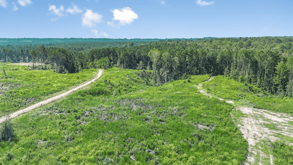 Small Hunting Property Near Caston Creek WMA