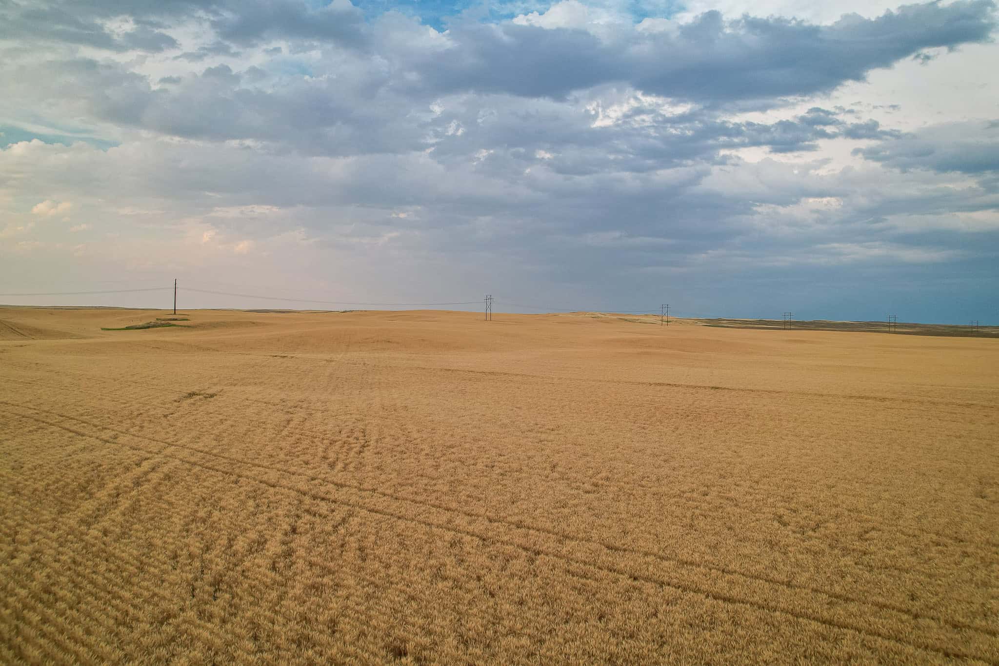 Milk River Treasure Ranch Dryland Farm Hay Production