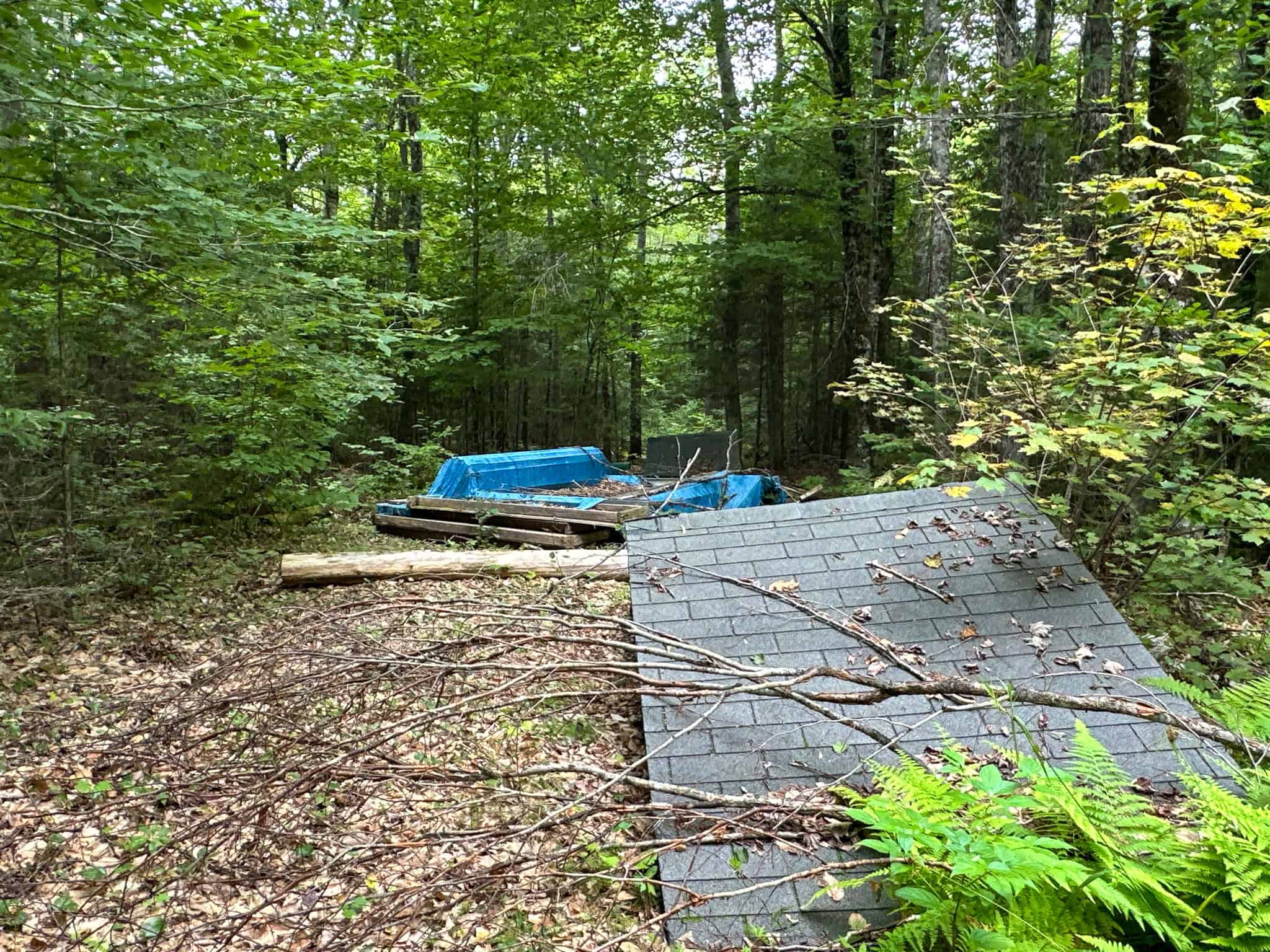 Affordable 20 Acres in the Woods