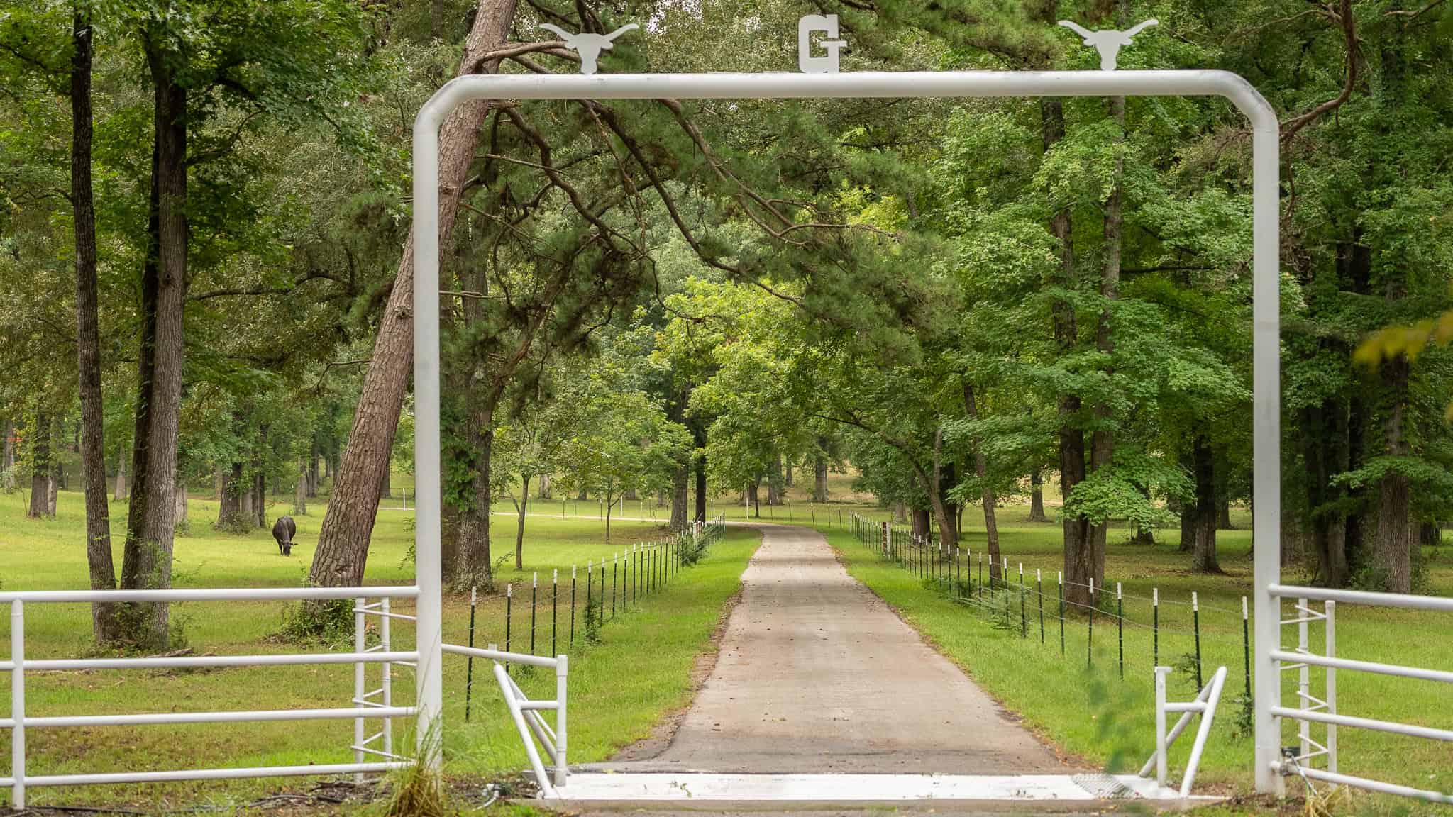 SOLD! Overton TX Ranch for Sale in Rusk County East of Dallas