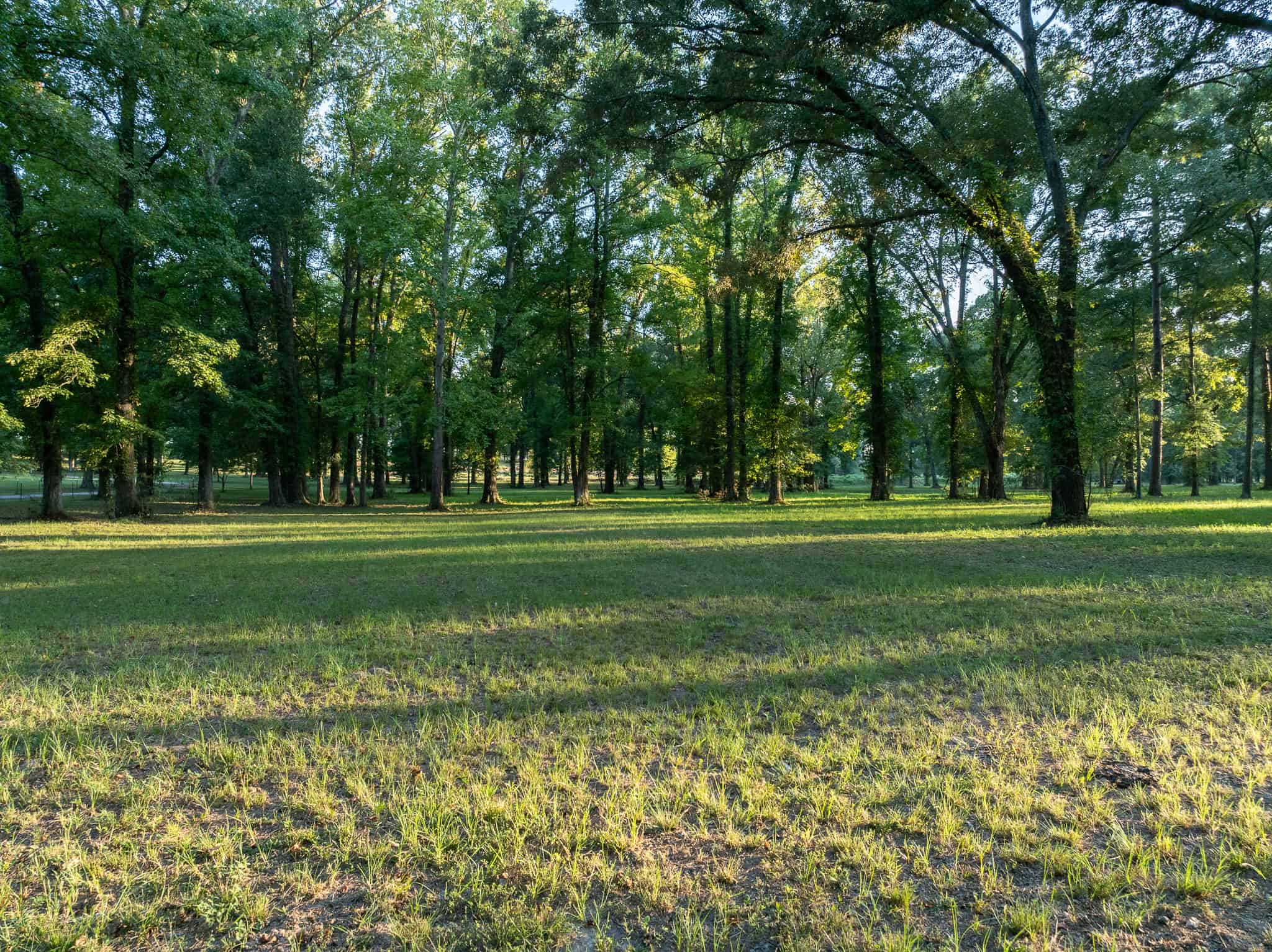 SOLD! Overton TX Ranch for Sale in Rusk County East of Dallas