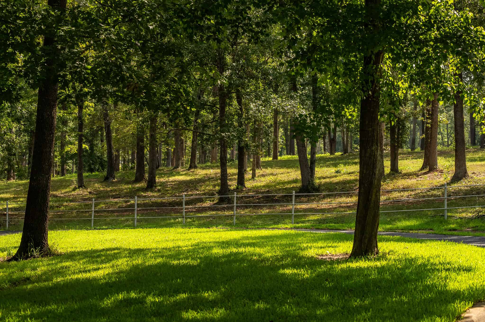 SOLD! Overton TX Ranch for Sale in Rusk County East of Dallas