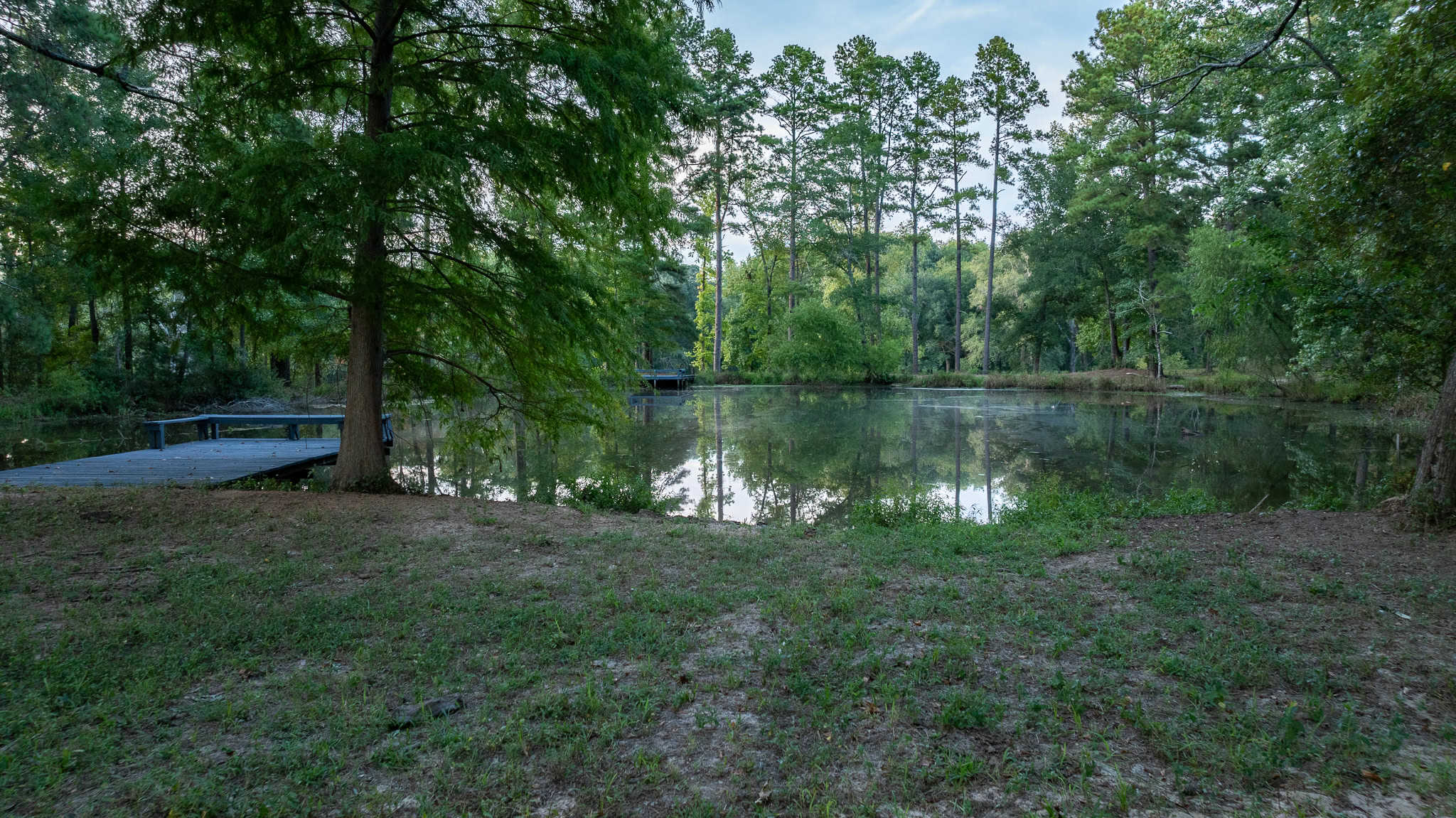 SOLD! Overton TX Ranch for Sale in Rusk County East of Dallas