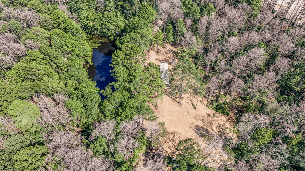 Wilkinson County Hunting Land Adjoining National Forest