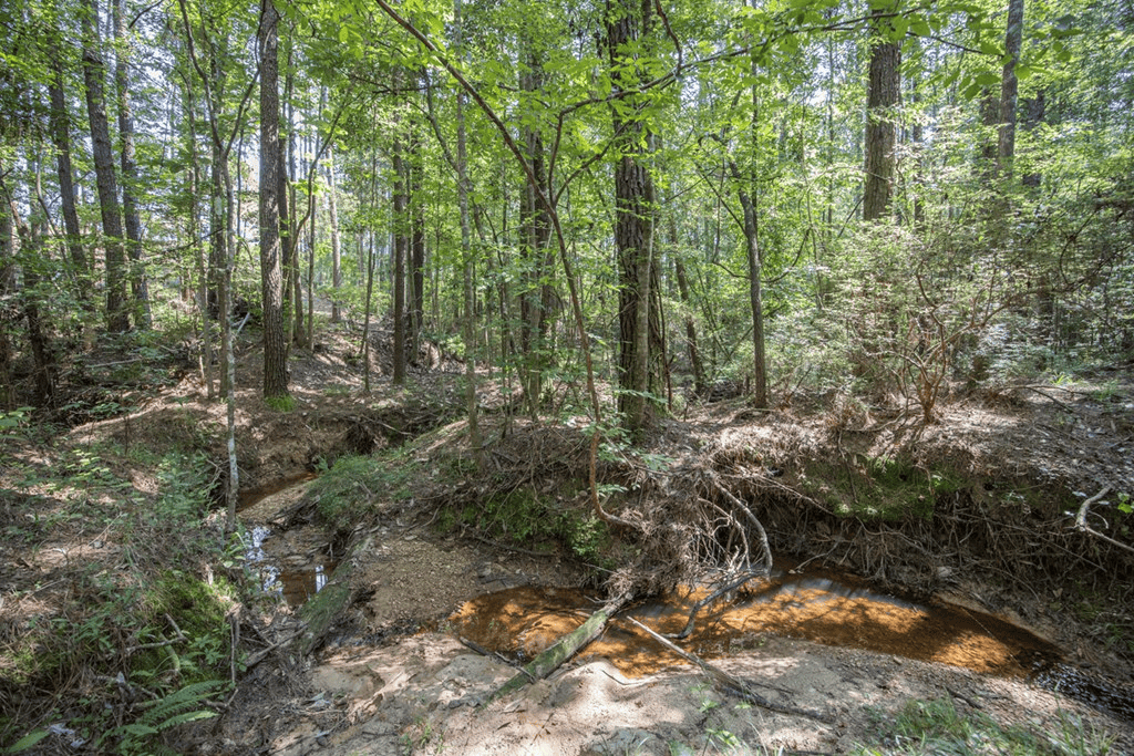 Small Hunting Property Near Caston Creek WMA