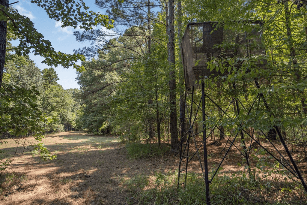 Hunting and Timberland for Sale in Claiborne County, MS